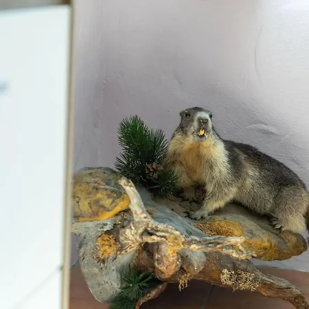 Bright Flat Close To The Area *