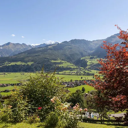 Bright Flat Close To The Area ピーゼンドルフ