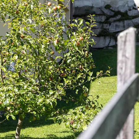 Bright Flat Close To The Area * ピーゼンドルフ