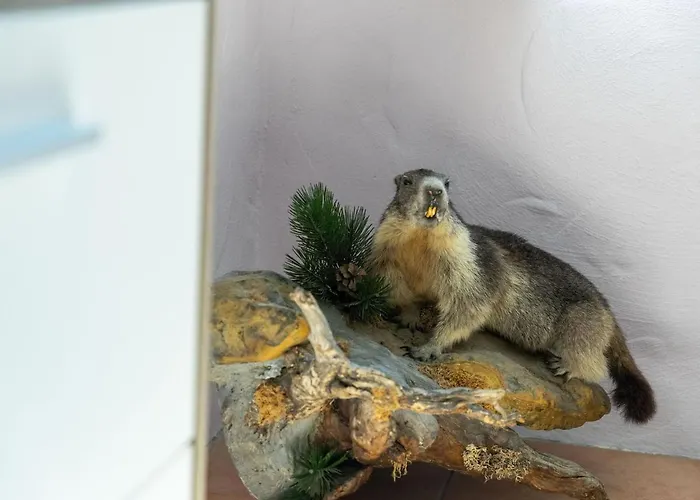 Bright Flat Close To The Area *